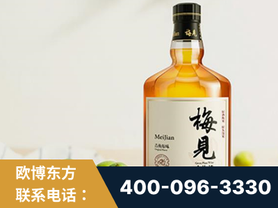 敦化-梅见青梅酒